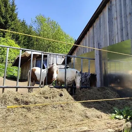 'griass Di' Auszeit Und Erholung, Familie Und Pferdehof, 410 *
